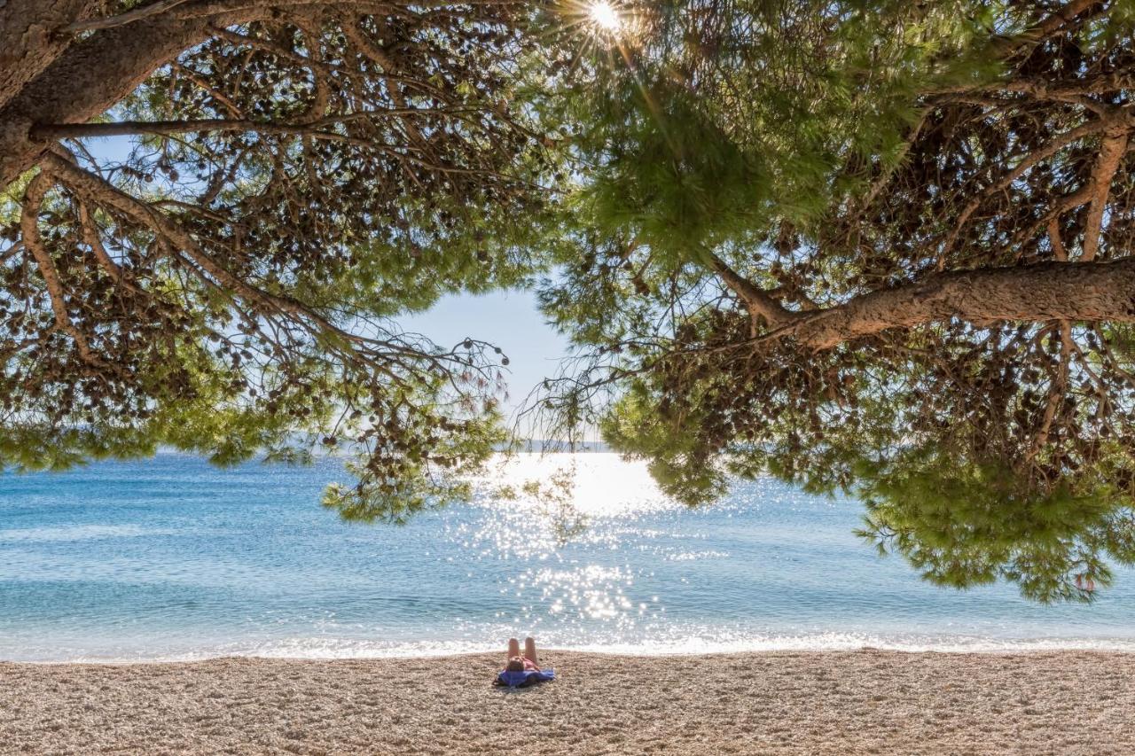 Bluesun Hotel Neptun Tučepi エクステリア 写真